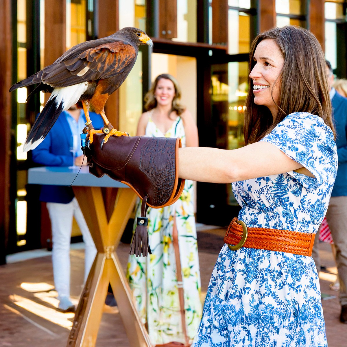 Falconry in the Garden Experience Gift