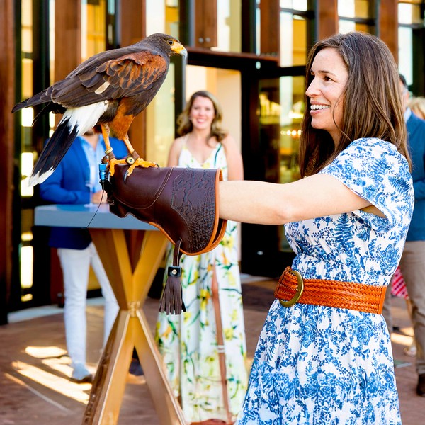 Falconry in the Garden Experience Gift